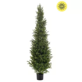 Élethű cédrus UV 150 cm
