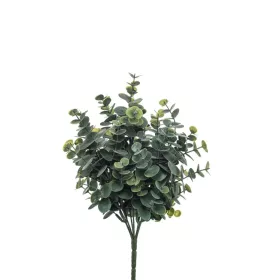 Élethű eukaliptusz bokor 7ággal hamvas zöld 20cm
