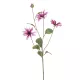Élethű szálas őszirózsa 82cm -pink