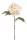 Élethű szálas selyemvirág peonia 55cm -  light pink