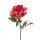 Élethű szálas peonia 55cm -corall