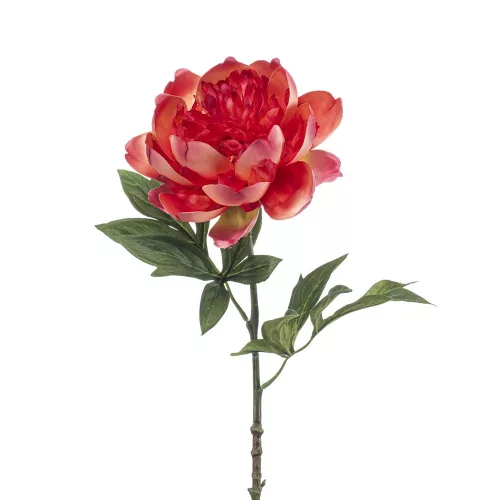 Élethű szálas peonia 55cm -corall
