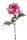 Élethű szálas peonia 55cm - pink