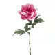 Élethű szálas peonia 55cm - pink