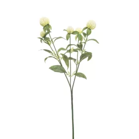 Élethű bíborka 64cm - krém