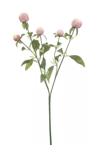 Élethű bíborka 64cm - pink