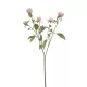 Élethű bíborka 64cm - pink
