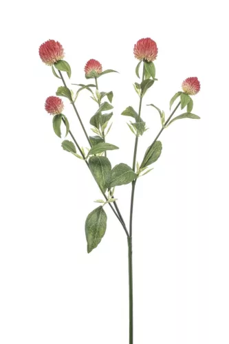 Élethű bíborka 64cm - piros