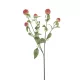 Élethű bíborka 64cm - piros