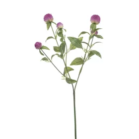 Élethű bíborka 64cm - lila