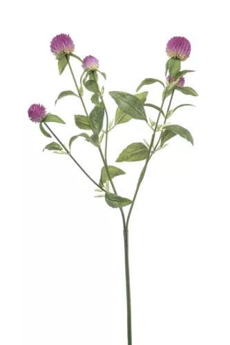 Élethű bíborka 64cm - lila