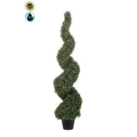 Élethű spirálos buxus bokor 150cm