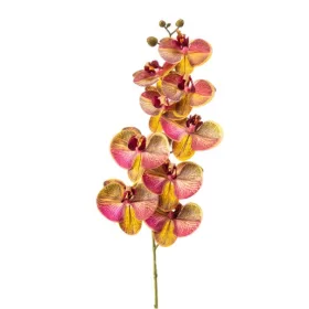   Élethű Phalaenopsis orchidea virágág – sárga/rózsaszín, 9 virágfej