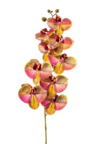 Élethű Phalaenopsis orchidea virágág – sárga/rózsaszín, 9 virágfej
