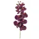 Élethű Phalaenopsis orchidea virágág – lila, 95 cm