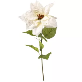 Élethű mikulásvirág ág 65 cm – krémszínű