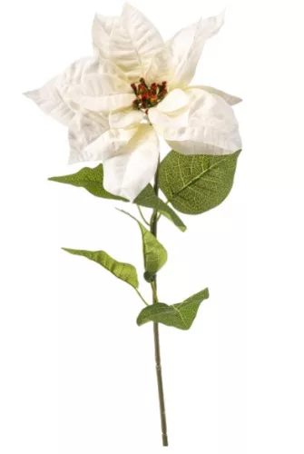 Élethű mikulásvirág ág 65 cm – krémszínű