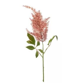 Élethű astilbe (tollbuga) ág korall 70 cm