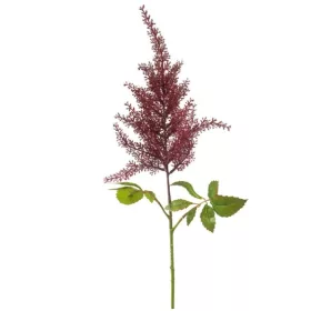 Élethű astilbe (tollbuga) ág bordó 70 cm
