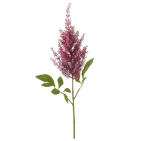 Élethű astilbe (tollbuga) ág lila 70 cm