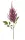 Élethű astilbe (tollbuga) ág lila 70 cm