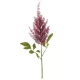 Élethű astilbe (tollbuga) ág lila 70 cm