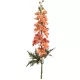 Élethű delphinium (szarkaláb) ág narancs 84 cm