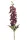 Élethű delphinium (szarkaláb) ág bordó 84 cm