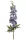 Élethű delphinium (szarkaláb) ág kék 84 cm