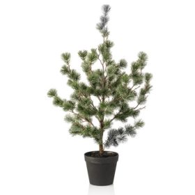 Élethű cédrusfenyő cserépben 80 cm