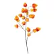 Élethű lampionvirág (Physalis) műág – narancssárga, 90 cm