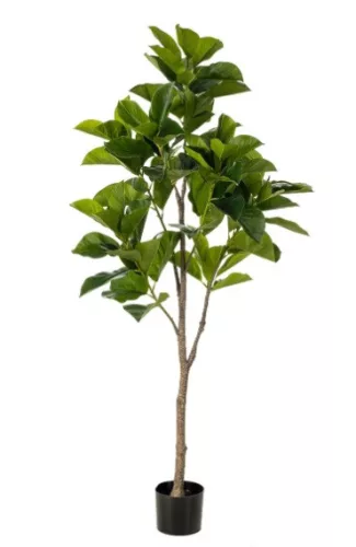 Élethű fikusz benghalensis növény cserépben 170 cm