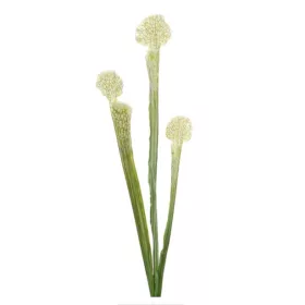   Élethű fehér légycsapó növény (Dionaea) dekor művirág ág 63 cm