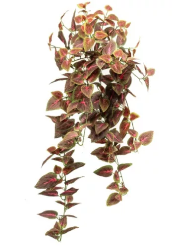 Élethű csüngő díszcsalán (Coleus) dekor műnövény rózsaszín-bordó 70 cm