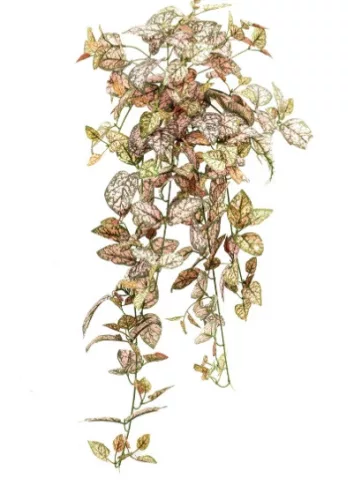 Élethű csüngő Hypoestes dekor műnövény zöld-rózsaszín 70 cm