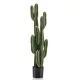 Élethű Euphorbia ingens kaktusz dekor műnövény cserépben 125 cm