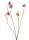 Élethű rózsaszín kockásliliom (Fritillaria) művirág ág 52 cm