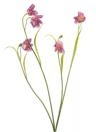 Élethű rózsaszín kockásliliom (Fritillaria) művirág ág 52 cm