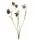 Élethű bordó kockásliliom (Fritillaria) művirág ág 52 cm