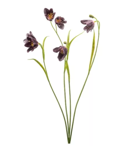 Élethű bordó kockásliliom (Fritillaria) művirág ág 52 cm