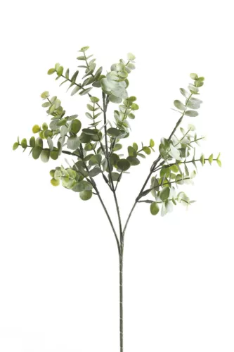 Eukaliptusz 3 szálas szürke 65 cm
