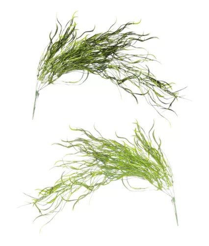 Hullámosfű csokor zöld 2 féle, választható