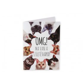 Képeslap Cicás Ma van a szülinapod + boríték 