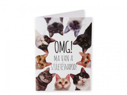 Képeslap Cicás Ma van a szülinapod + boríték 