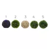 Buxus gömbök 5 féle közepes, választható