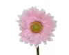 Élethű selyemvirág gerbera világos rózsaszín - 10cm átmérő x 50cm magasság