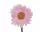 Élethű selyemvirág gerbera világos rózsaszín - 10cm átmérő x 50cm magasság