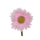 Élethű selyemvirág gerbera világos rózsaszín - 10cm átmérő x 50cm magasság