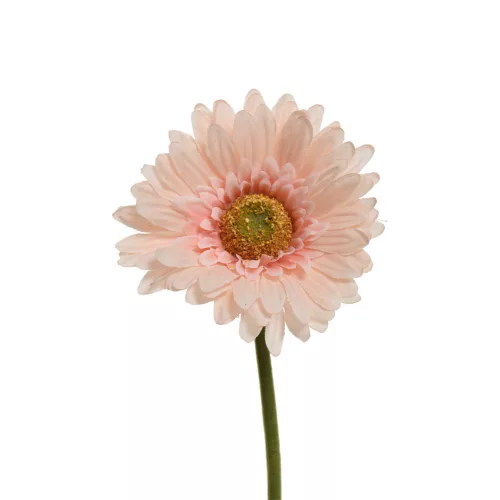 Selyem szálas gerbera barack 10x50cm