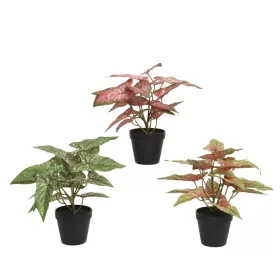   Élethű mű Syngonium szobanövény cserépben zöld és rózsaszín levelekkel 35 cm 3 féle válaszható/db